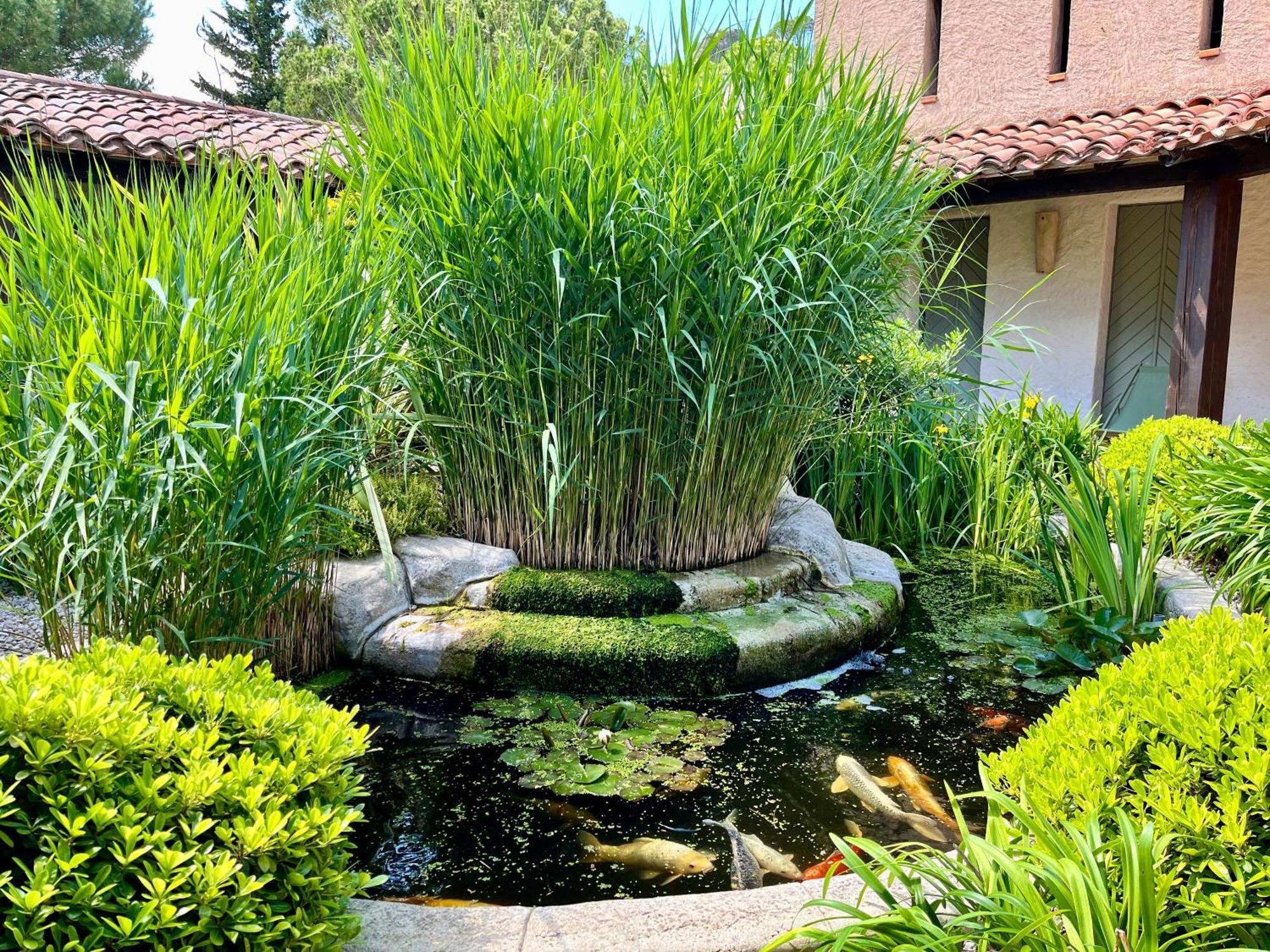 Auberge Val Moureze Hotel & Spa Exterior foto